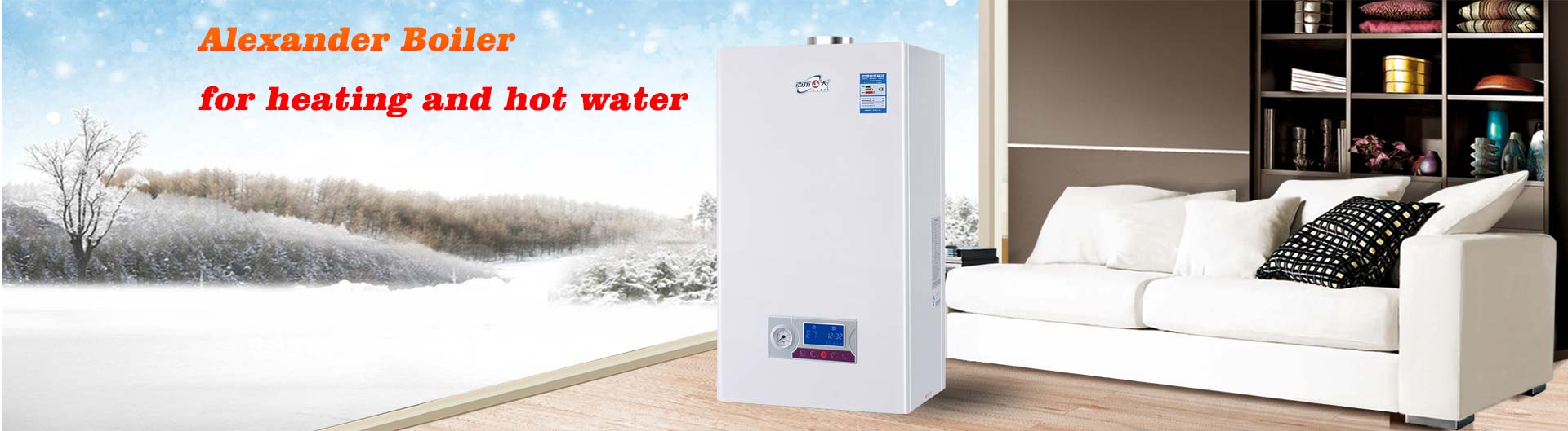 Gas combi boiler
